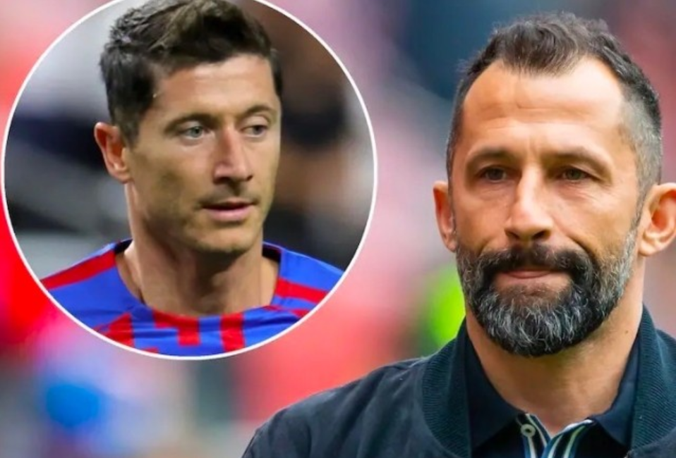 训练移植 训练移植